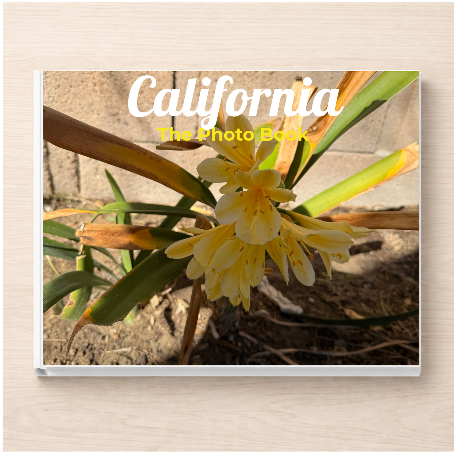 California: The Photo Book