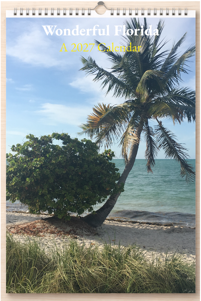 Wonderful Florida: A 2027 Calendar
