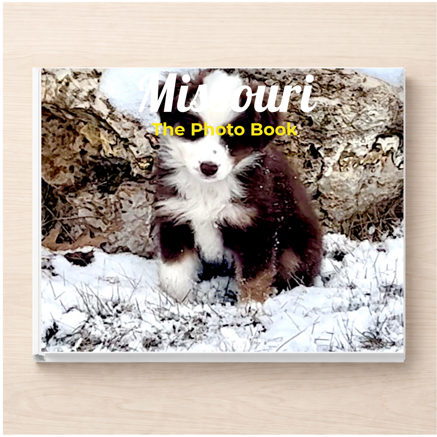 Missouri: The Photo Book