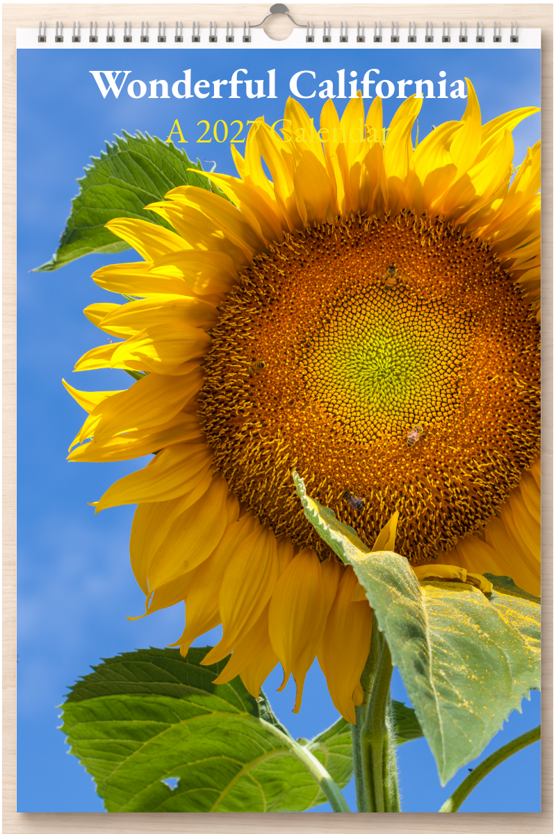 Wonderful California: A 2027 Calendar