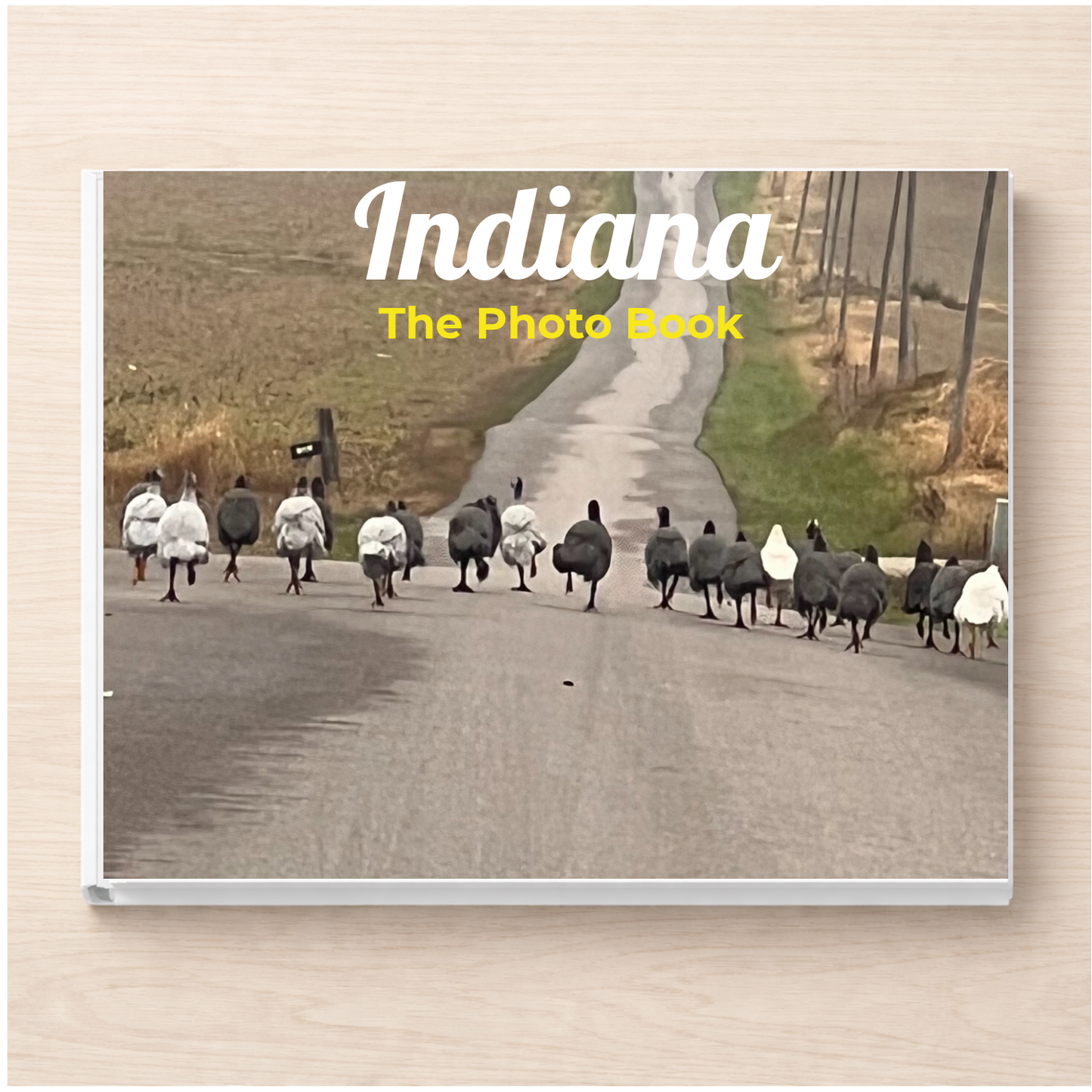 Indiana: The Photo Book