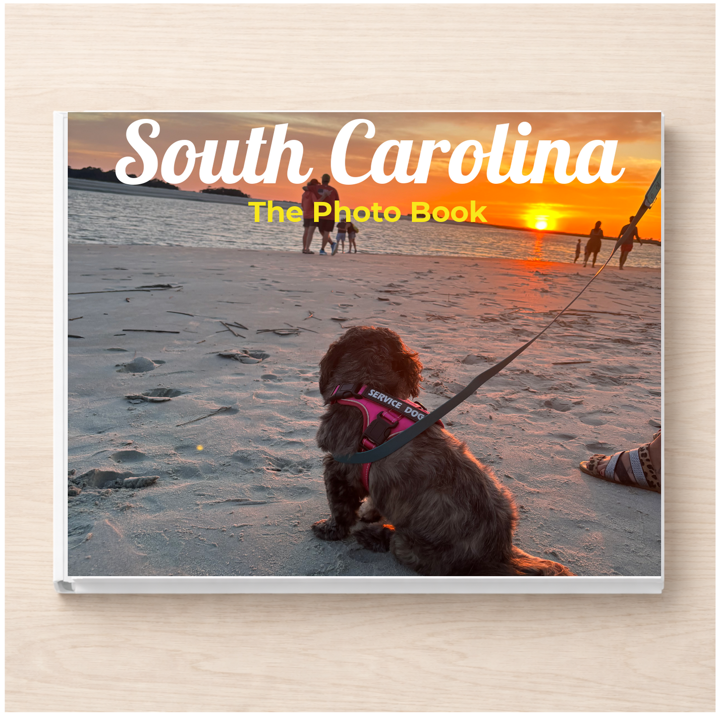 South Carolina: The Photo Book
