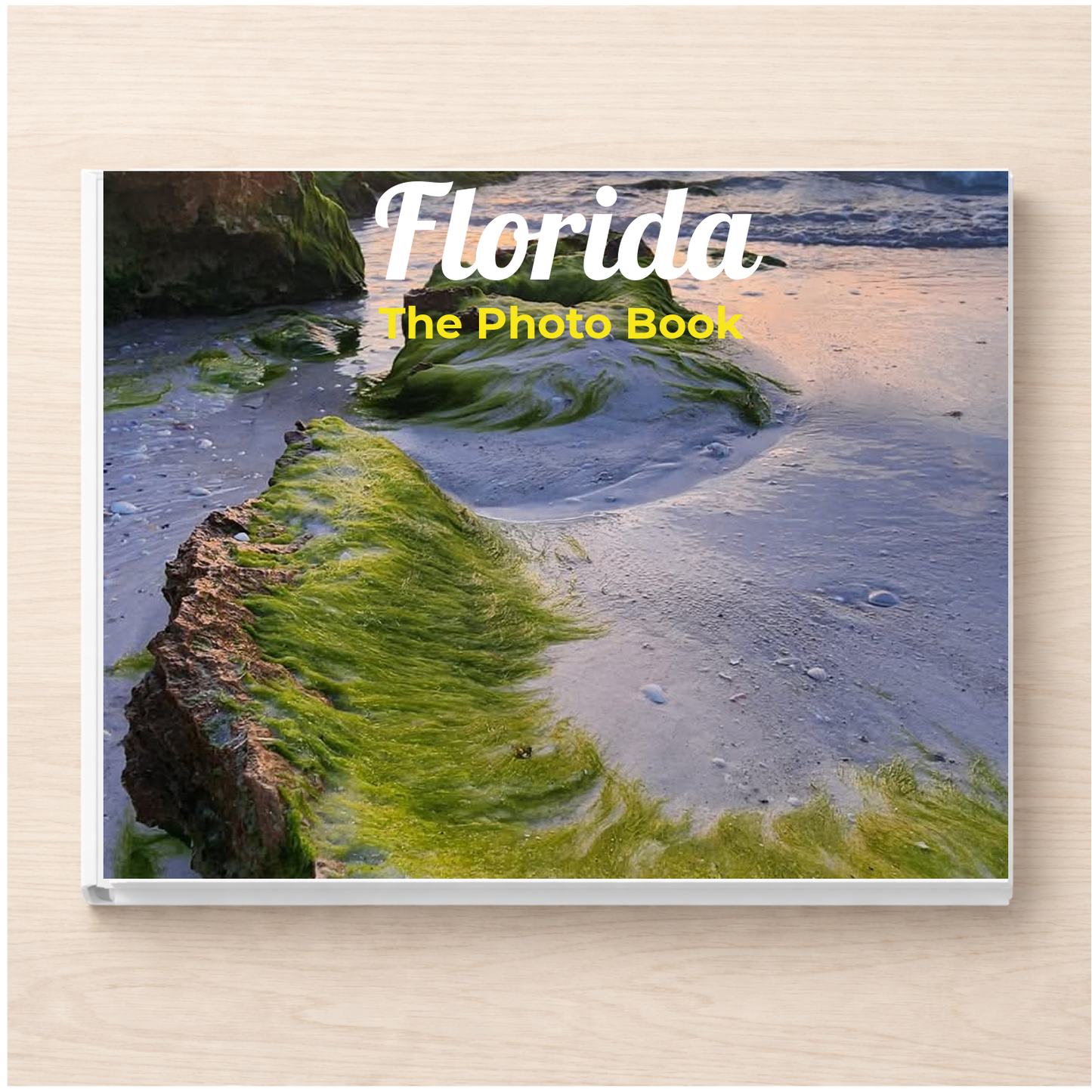Florida: The Photo Book