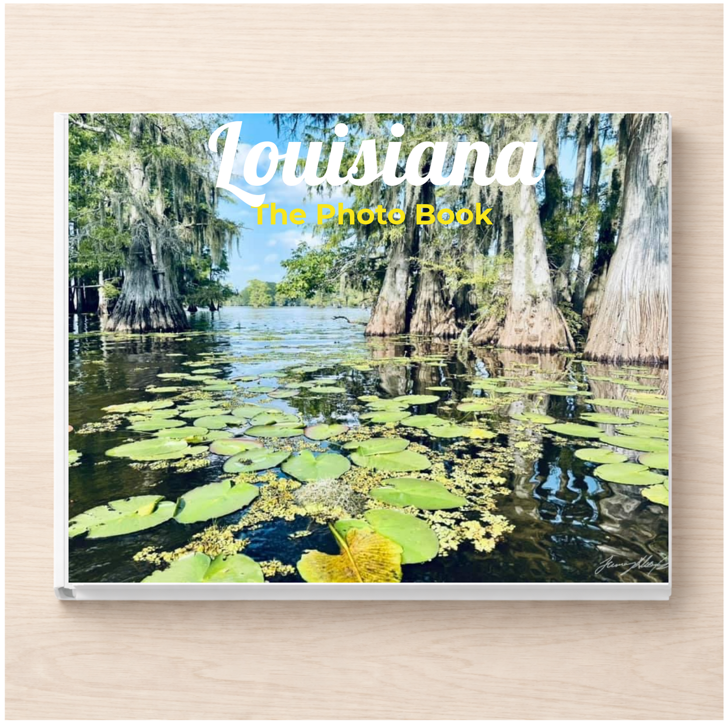 Louisiana: The Photo Book