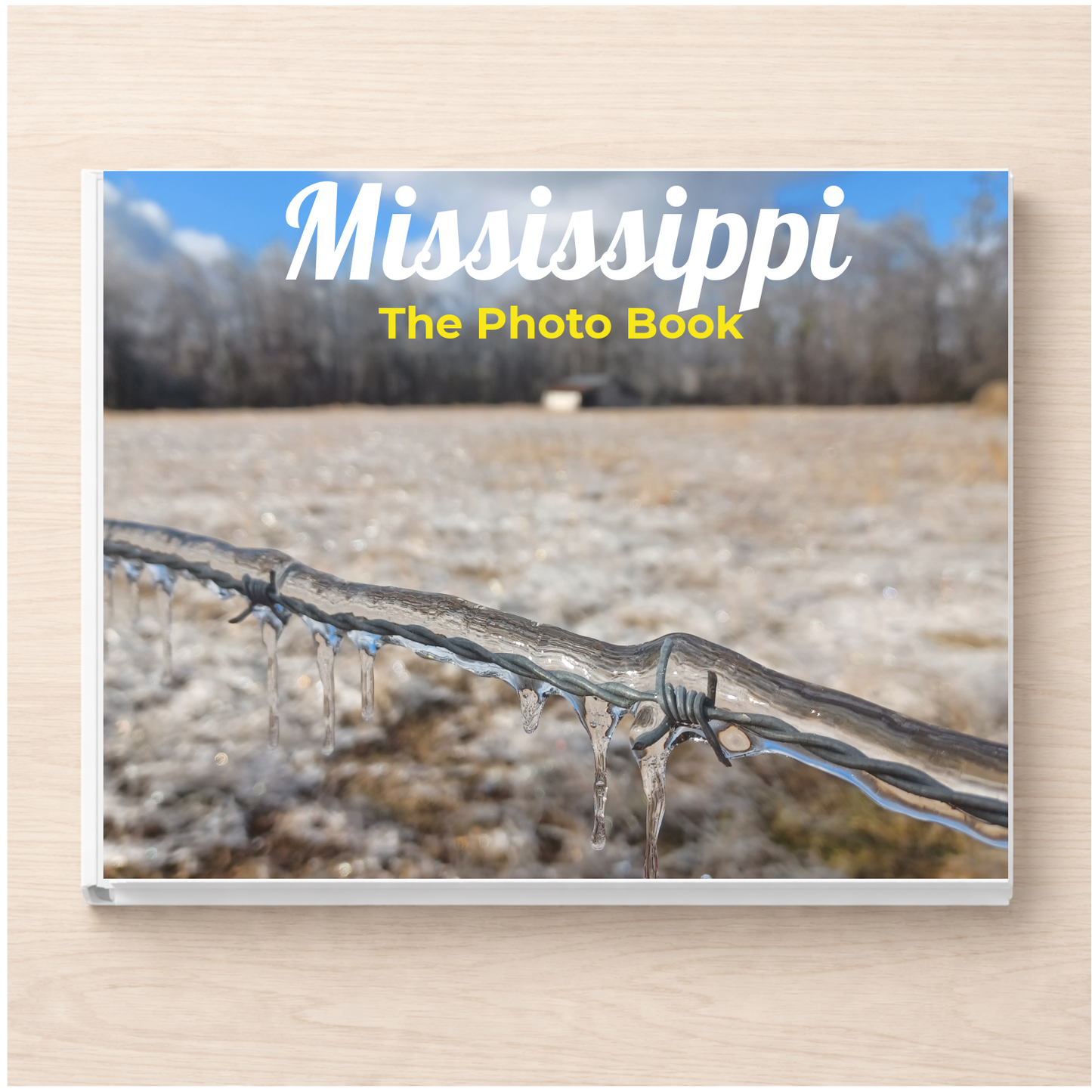 Mississippi: The Photo Book