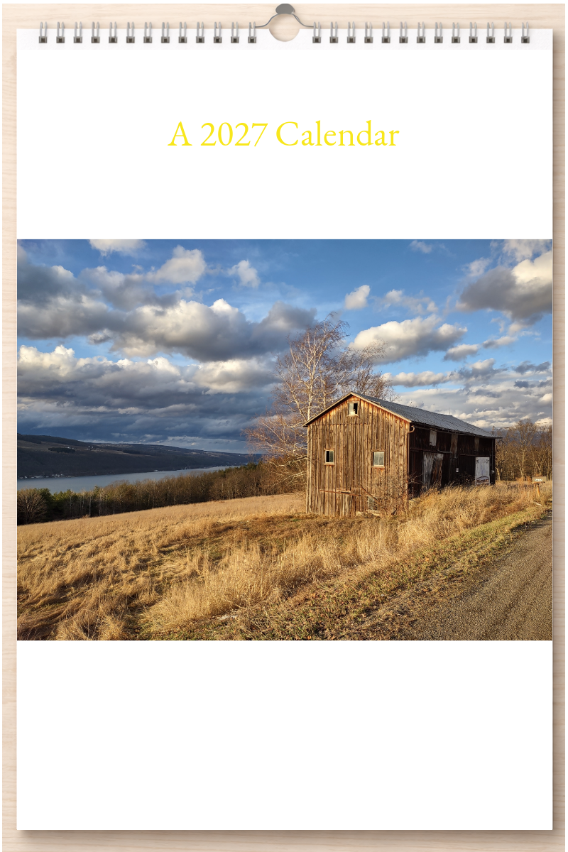Wonderful New York: A 2027 Calendar