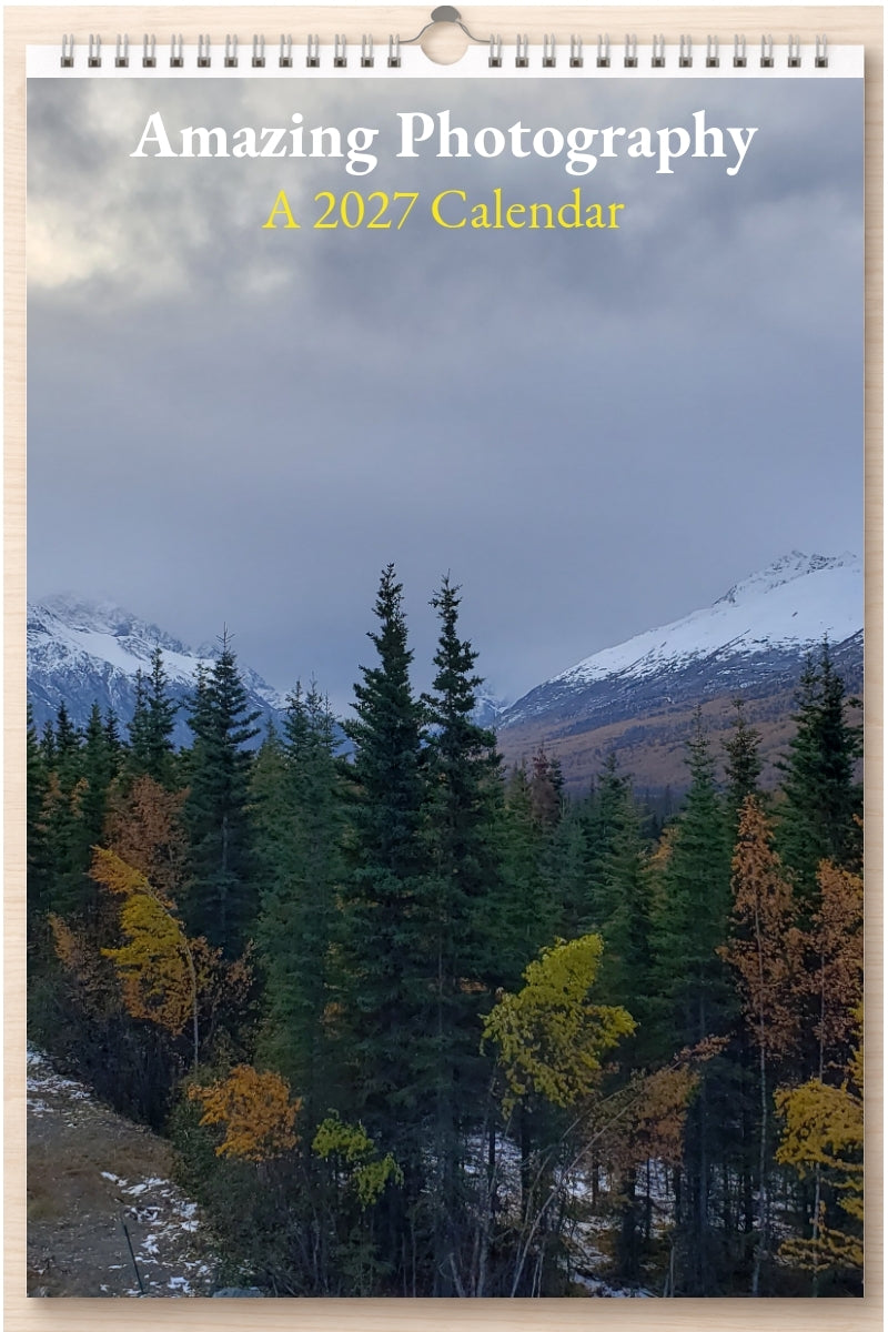 Amazing Photography: A 2027 Calendar