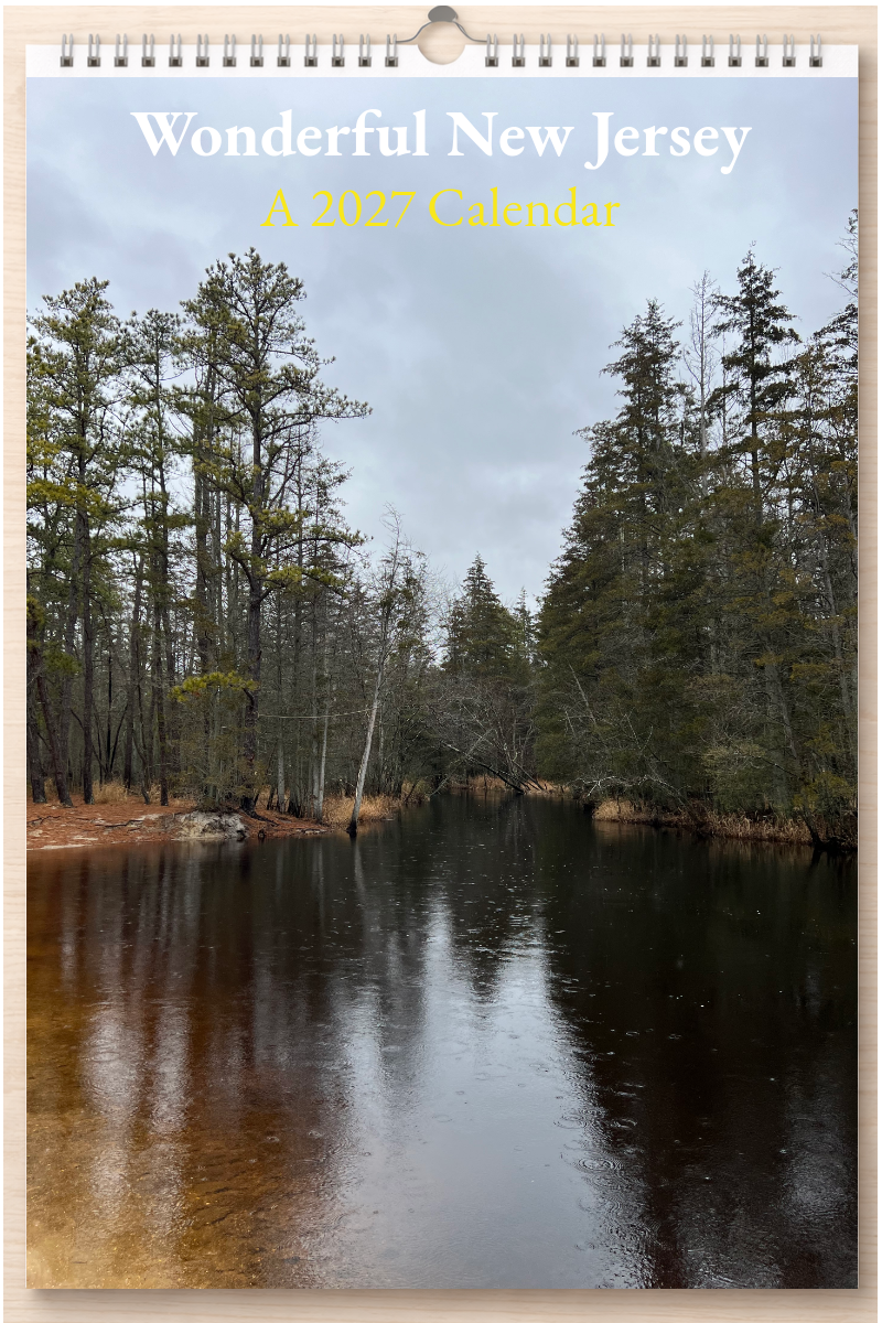 Wonderful New Jersey: A 2027 Calendar