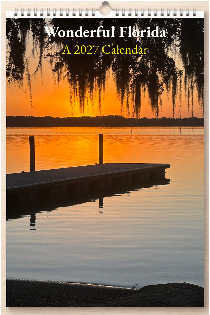 Wonderful Florida: A 2027 Calendar