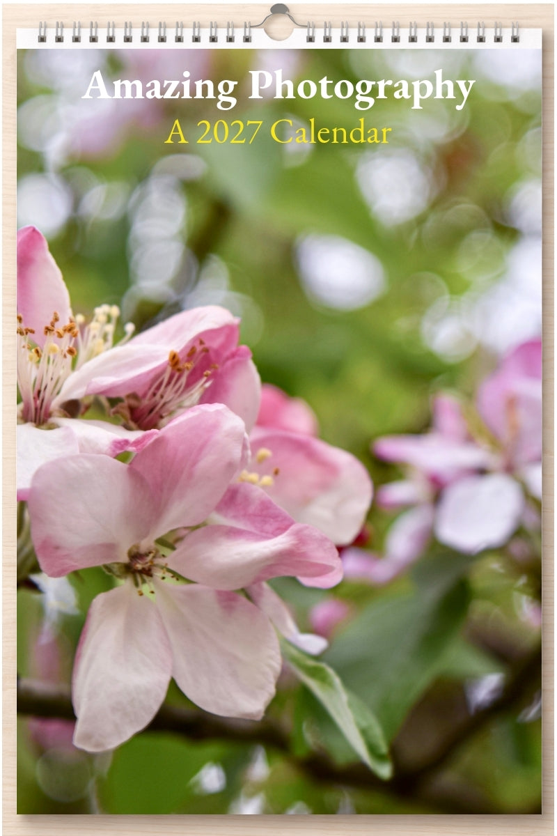 Amazing Photography: A 2027 Calendar