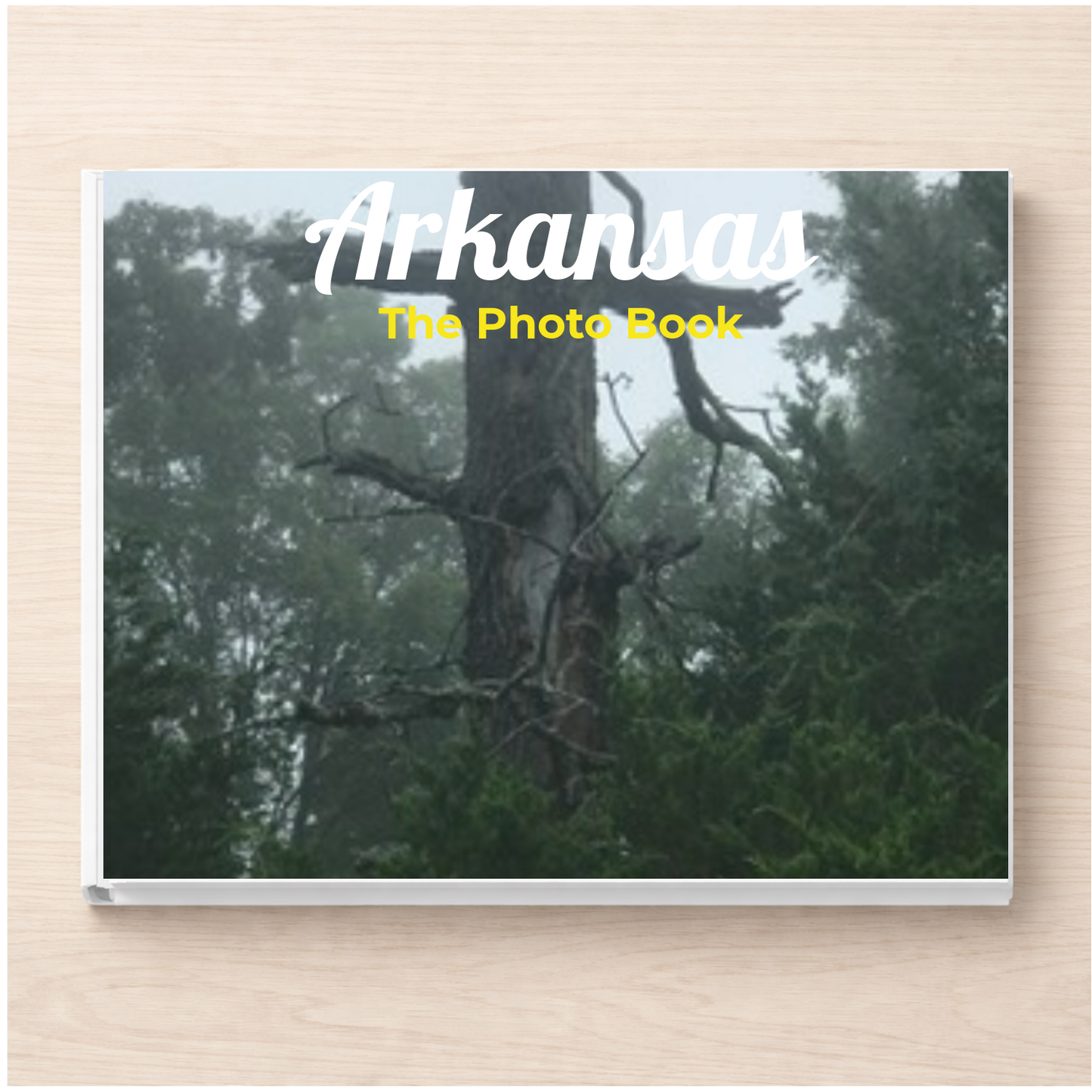 Arkansas: The Photo Book
