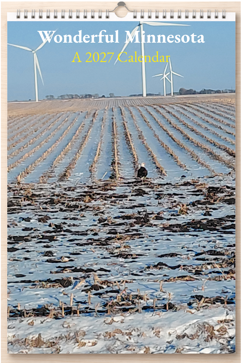 Wonderful Minnesota: A 2027 Calendar
