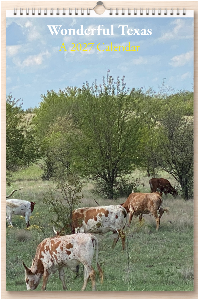Wonderful Texas: A 2027 Calendar