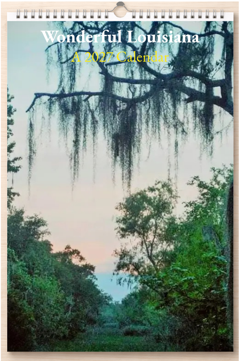 Wonderful Louisiana: A 2027 Calendar