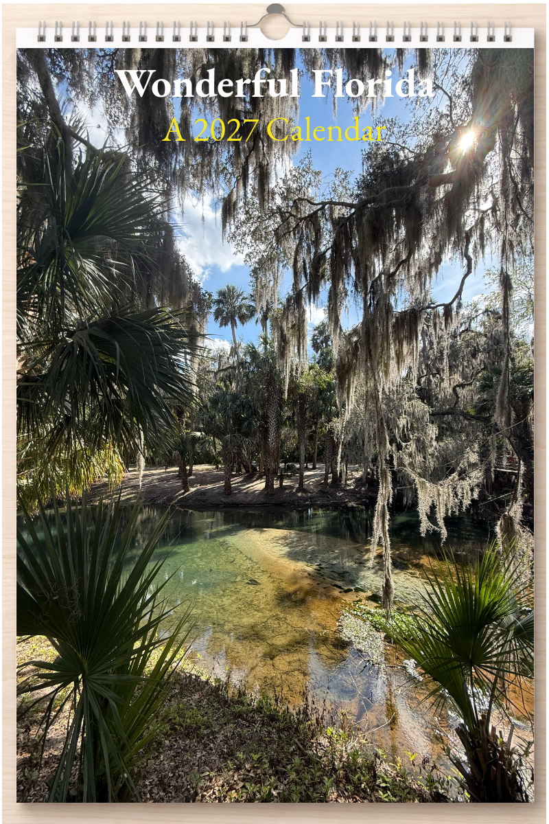 Wonderful Florida: A 2027 Calendar
