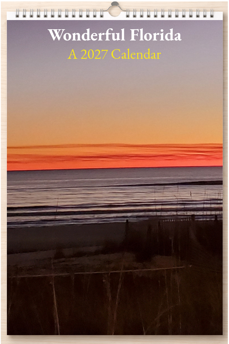 Wonderful Florida: A 2027 Calendar