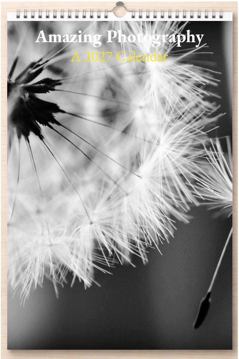 Amazing Photography: A 2027 Calendar