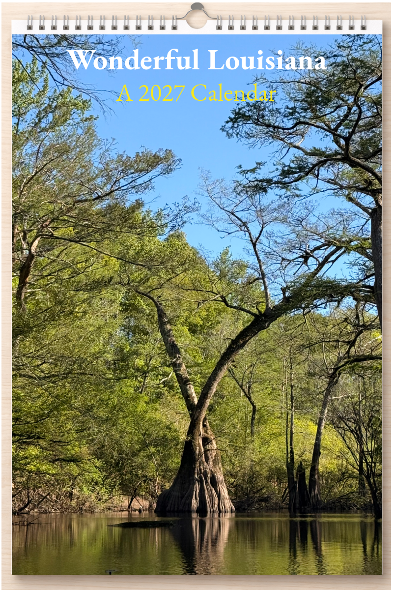 Wonderful Louisiana: A 2027 Calendar