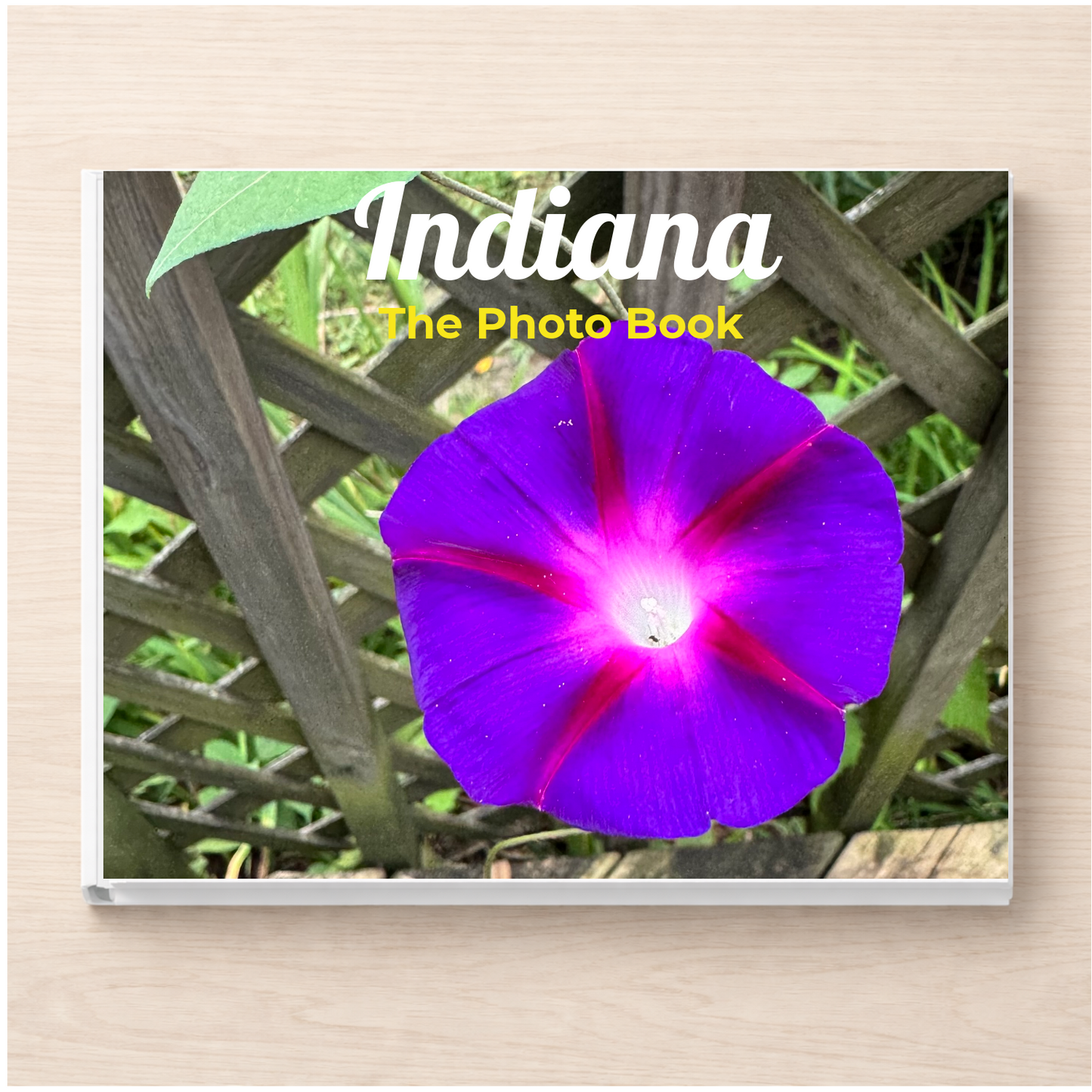 Indiana: The Photo Book