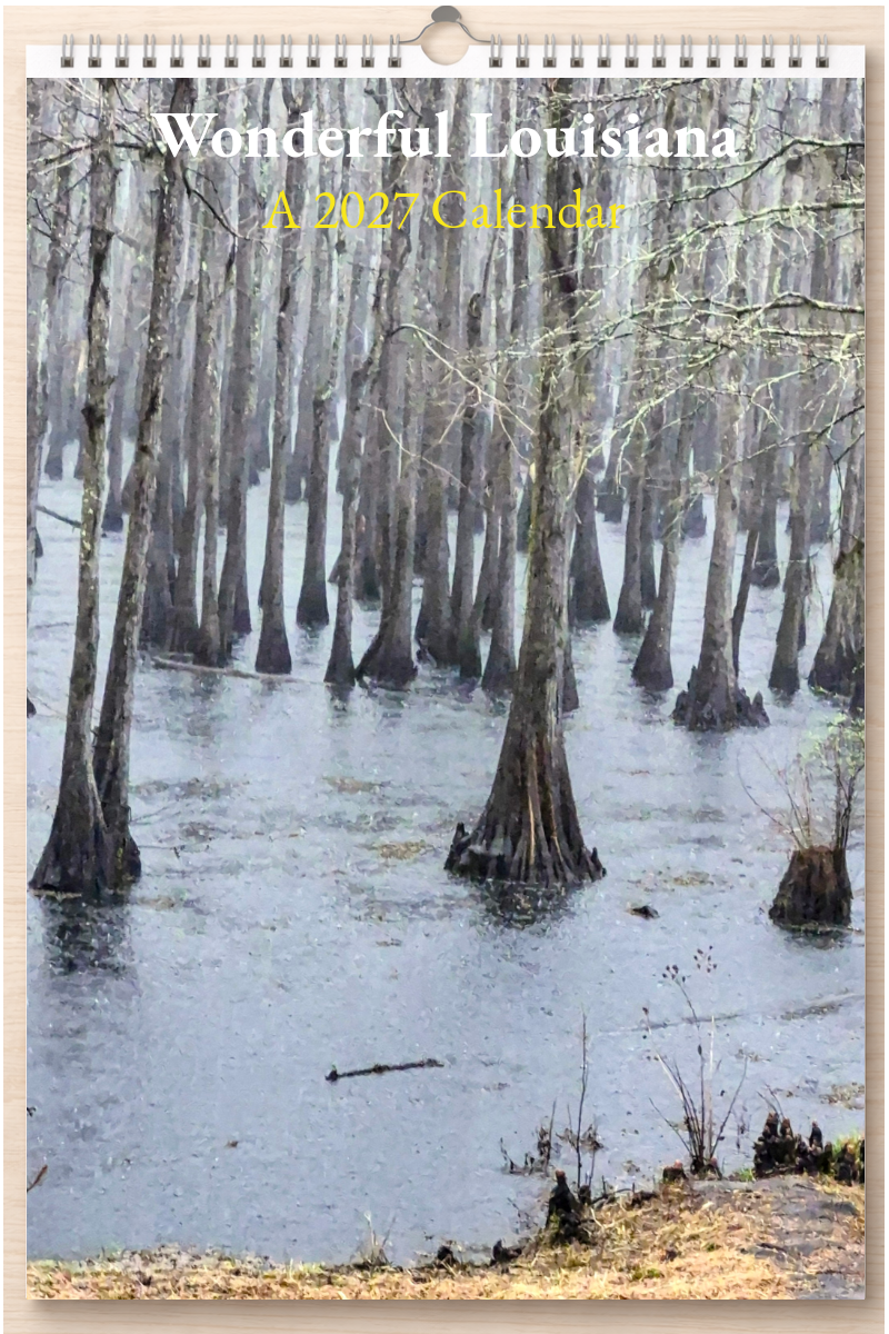 Wonderful Louisiana: A 2027 Calendar