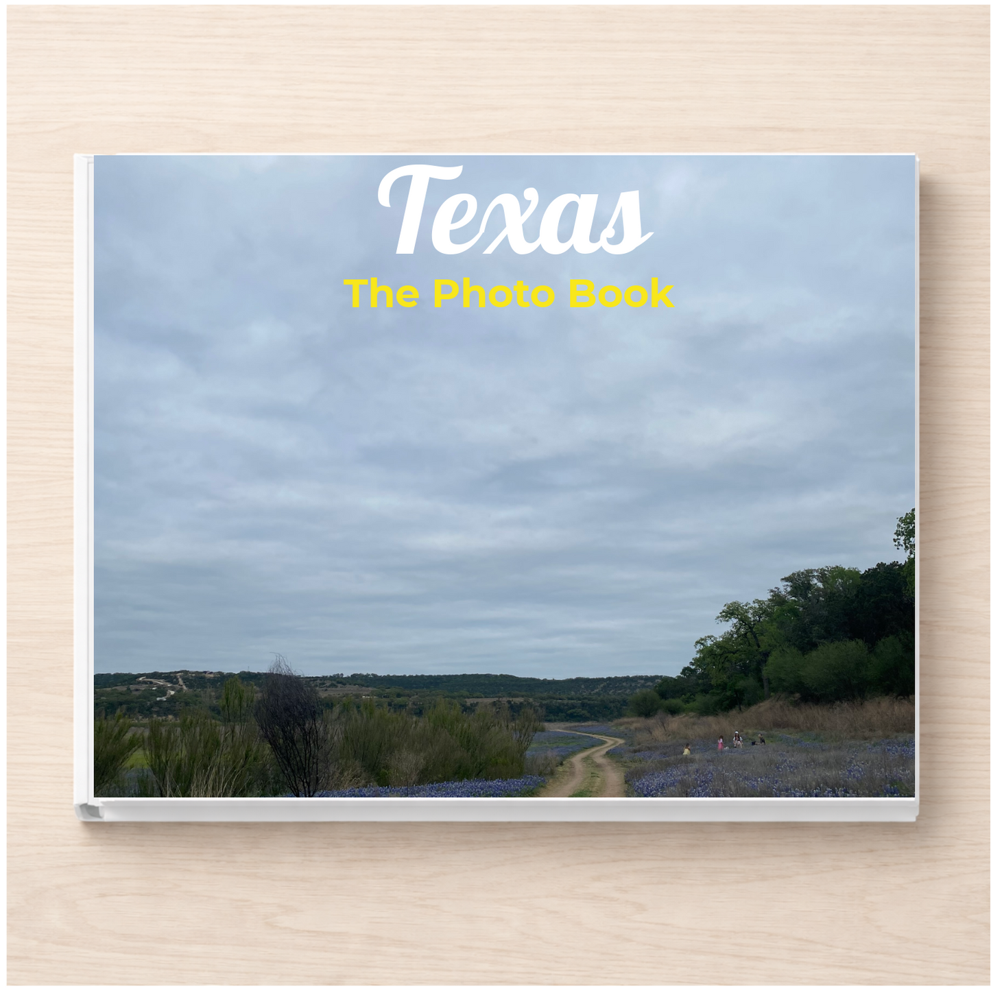 Texas: The Photo Book