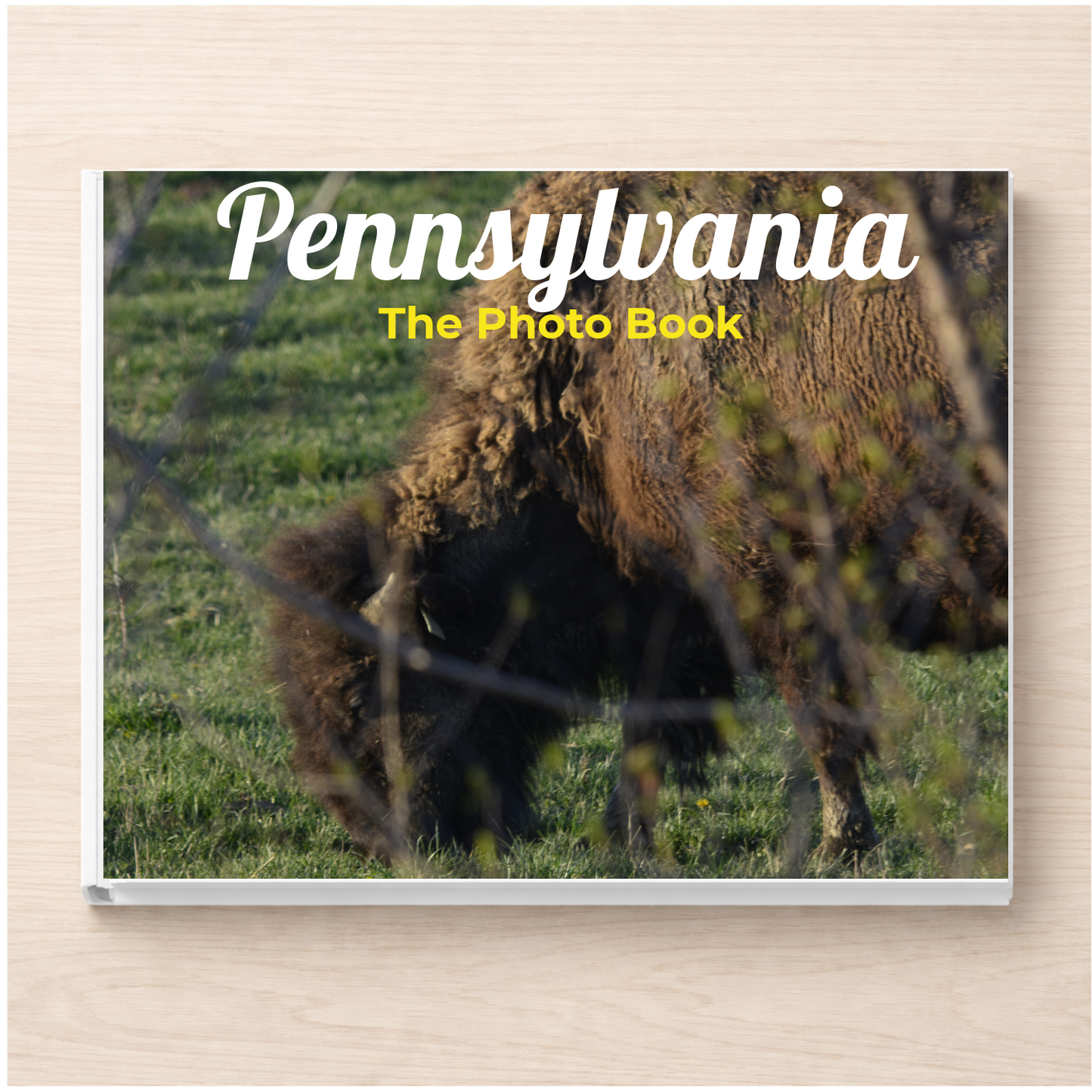 Pennsylvania: The Photo Book