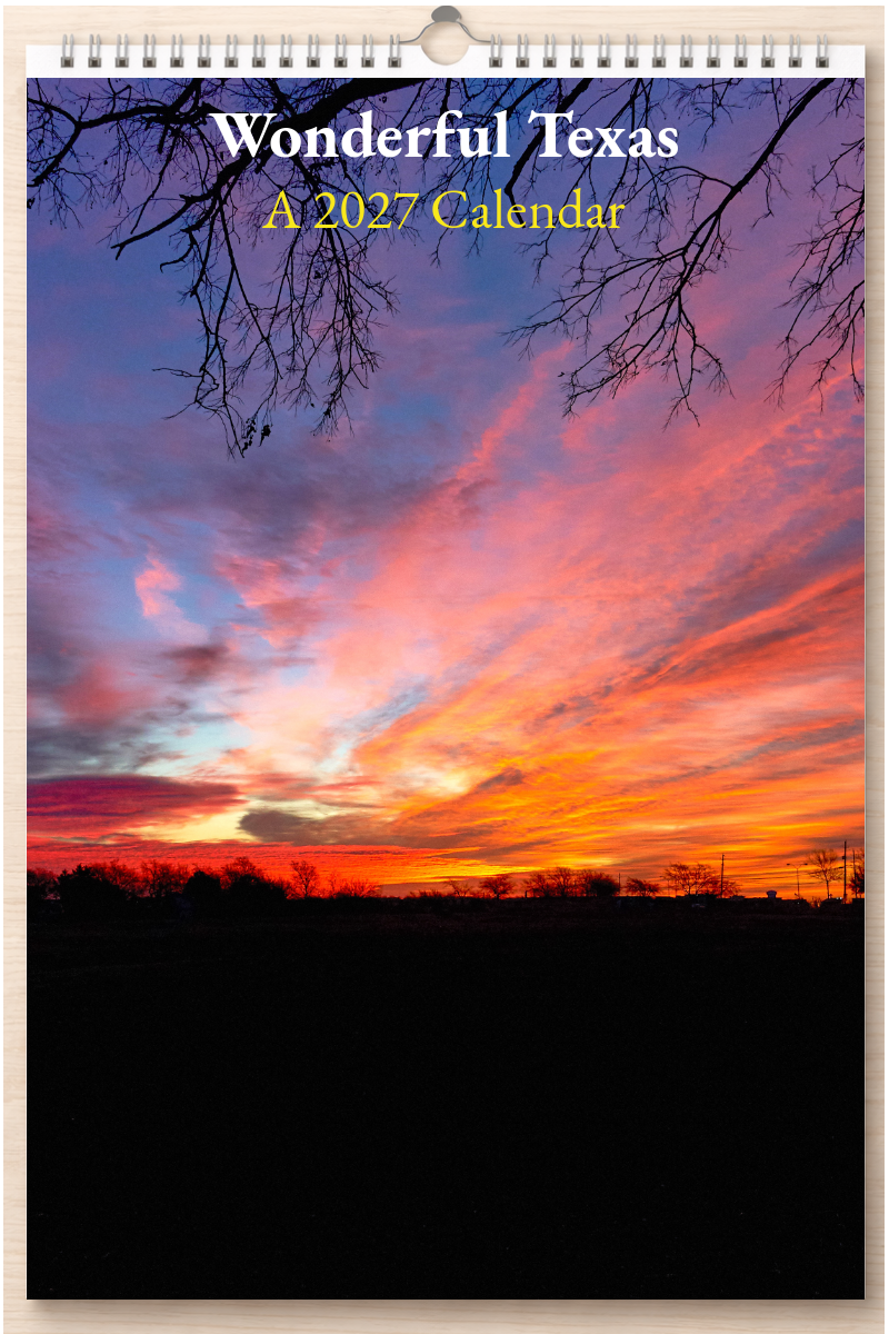 Wonderful Texas: A 2027 Calendar