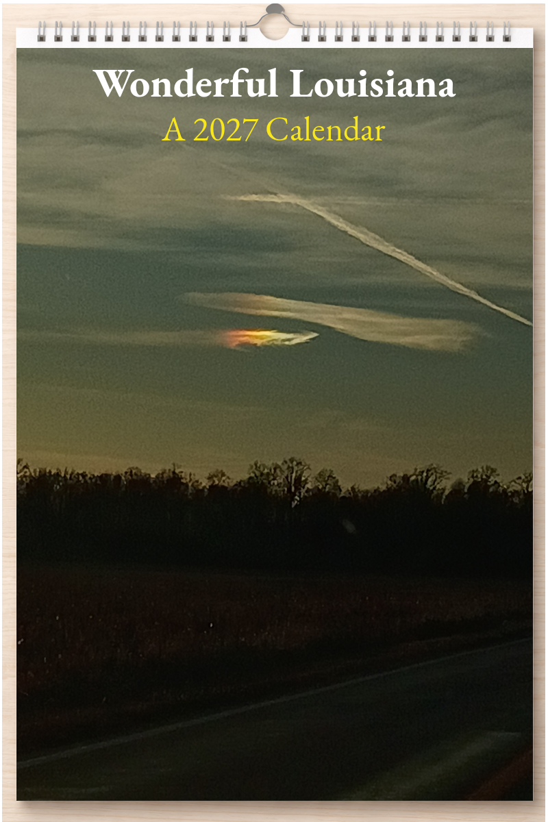Wonderful Louisiana: A 2027 Calendar