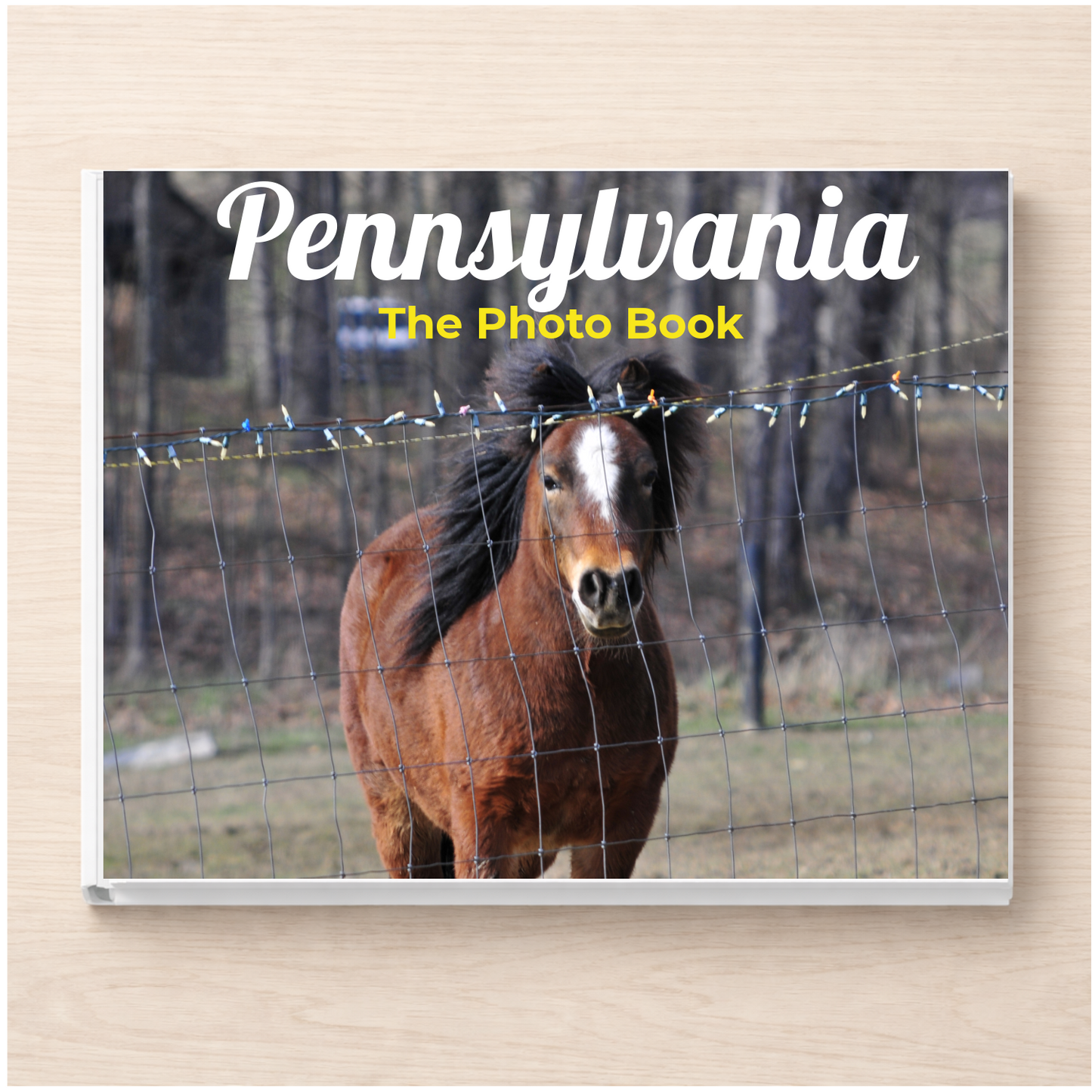 Pennsylvania: The Photo Book