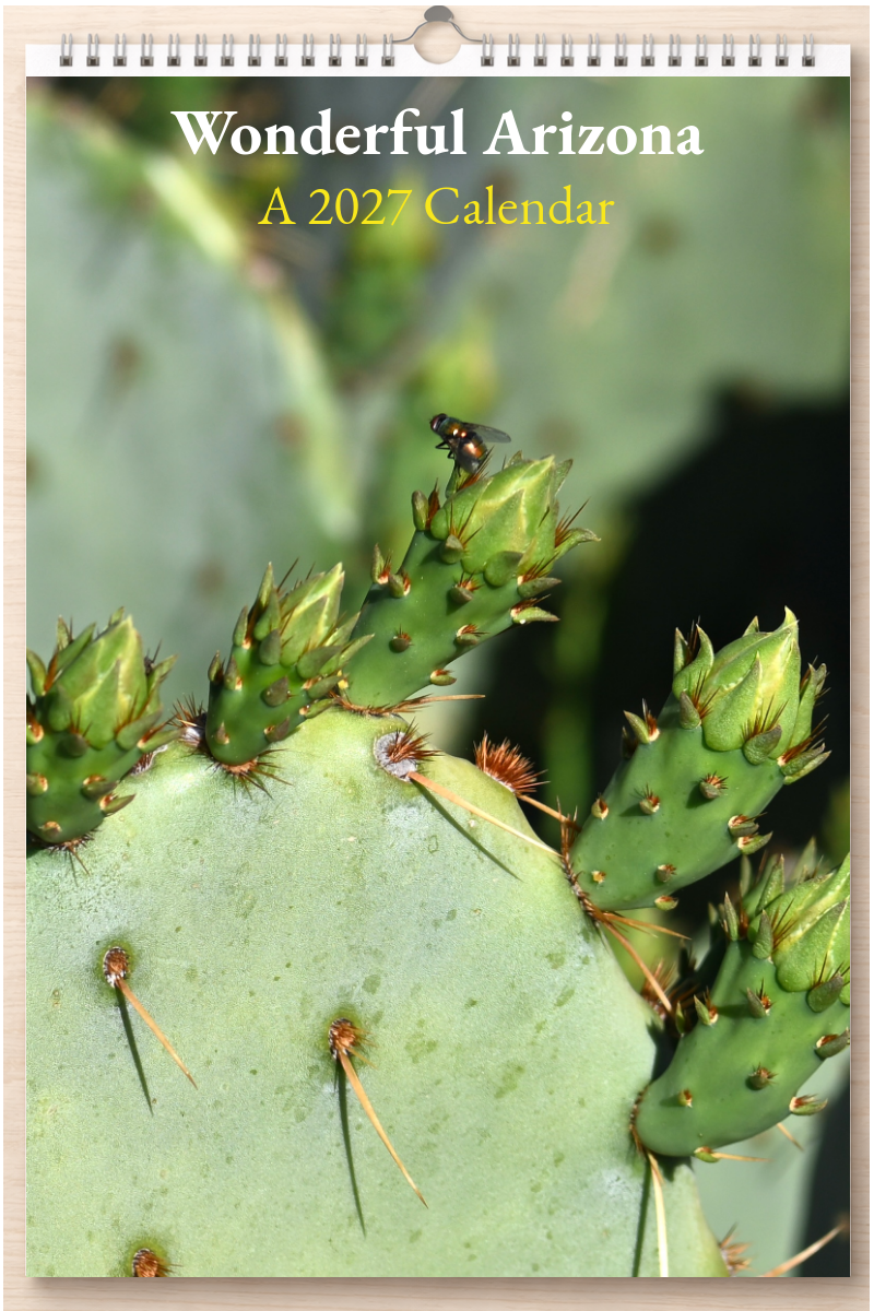 Wonderful Arizona: A 2027 Calendar