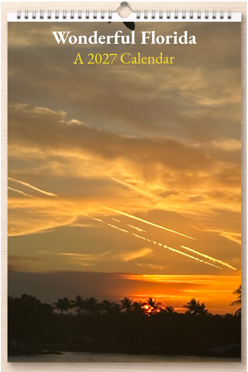 Wonderful Florida: A 2027 Calendar