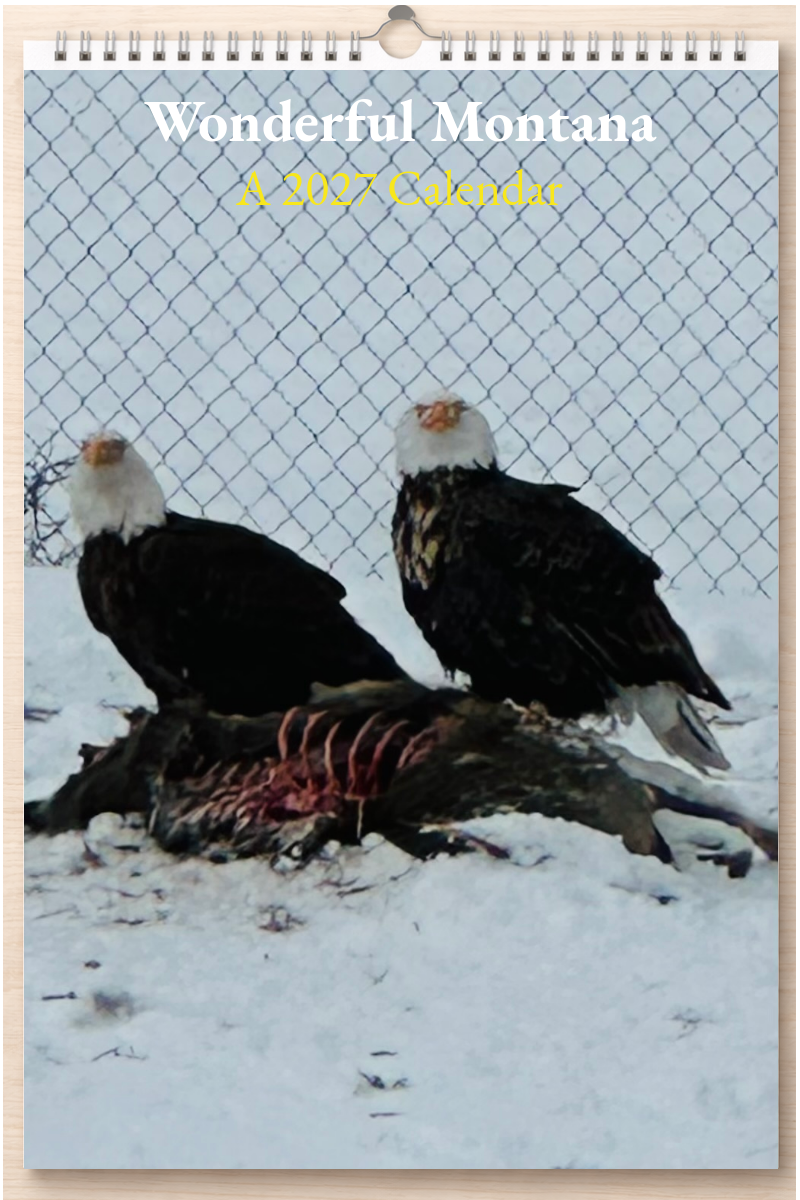 Wonderful Montana: A 2027 Calendar