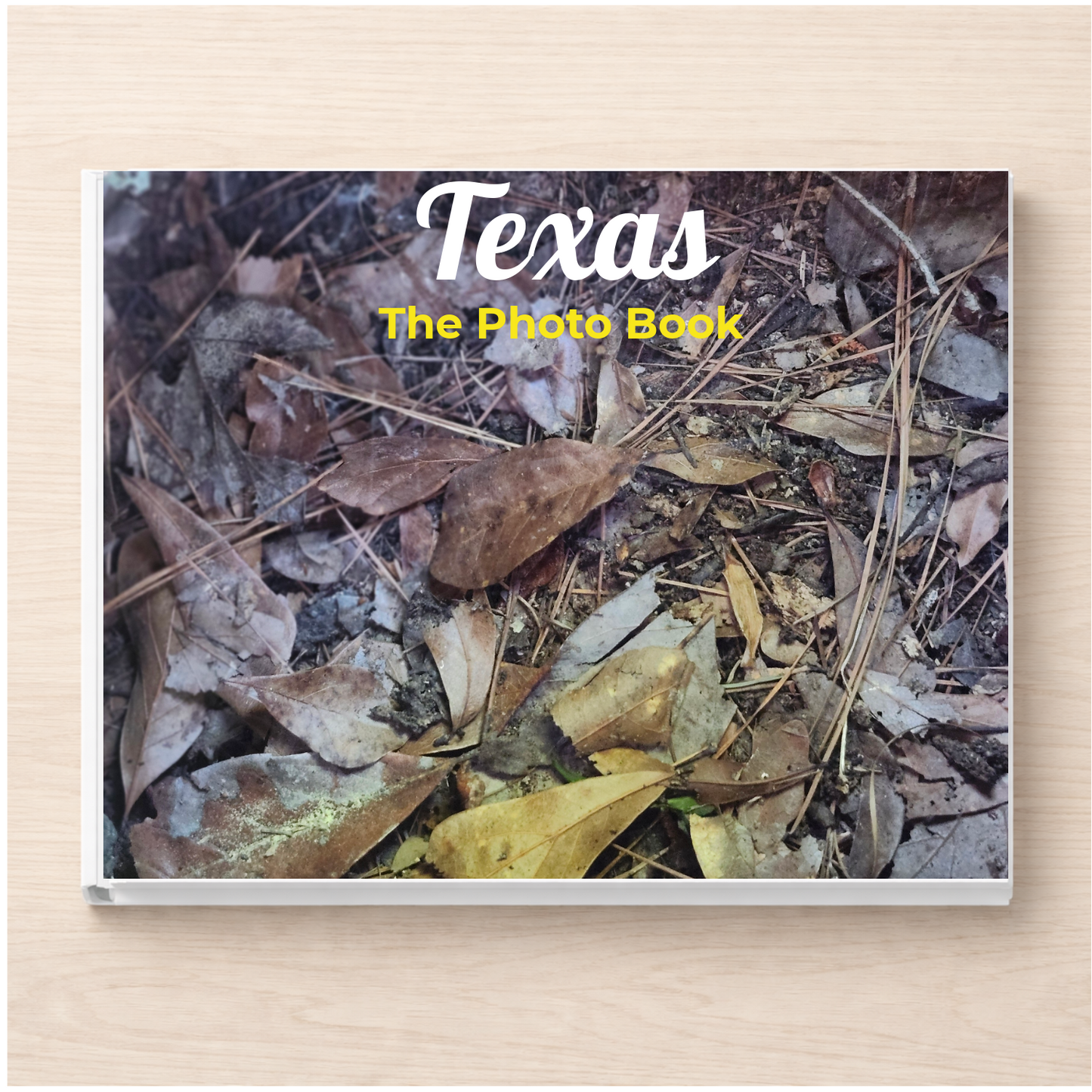 Texas: The Photo Book