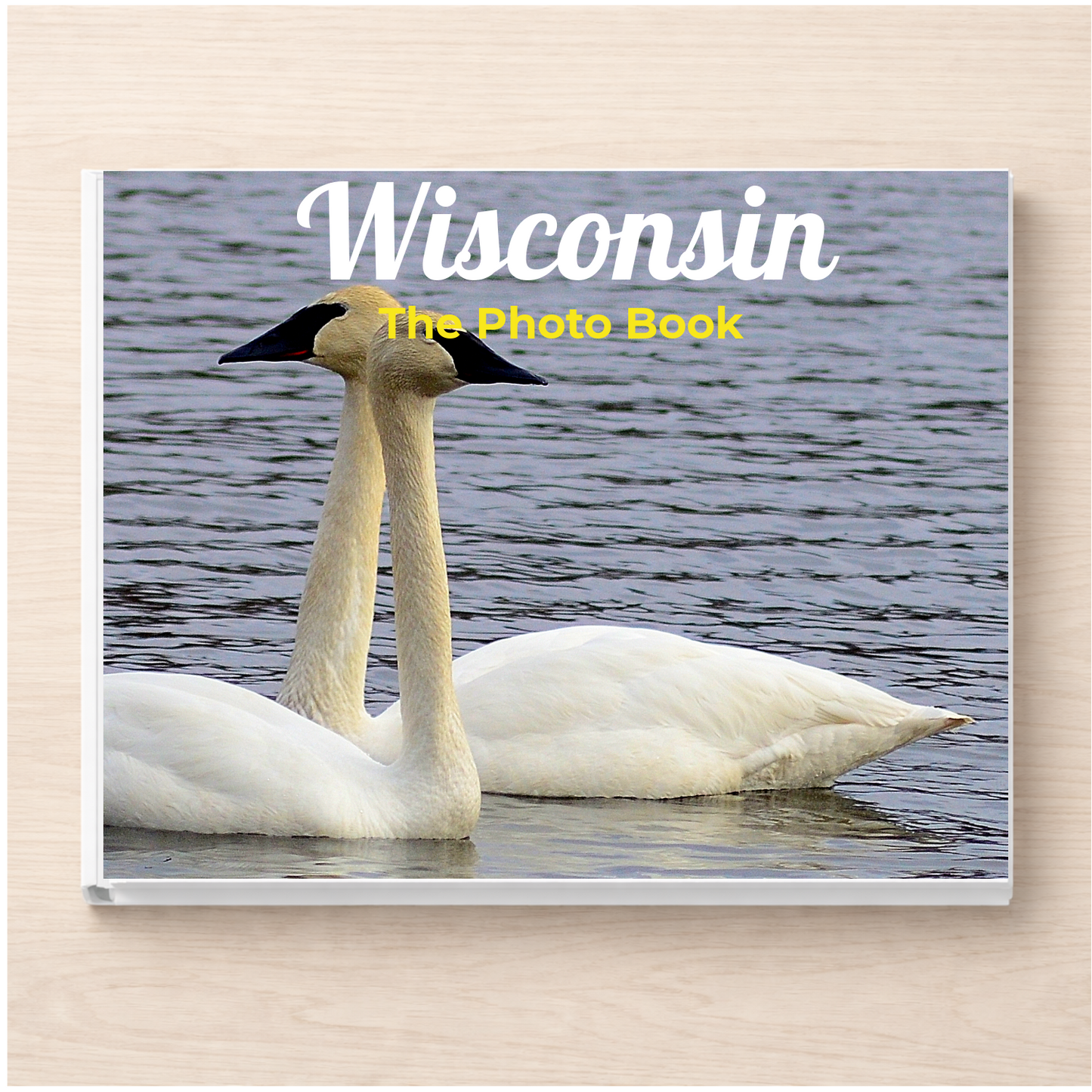 Wisconsin: The Photo Book