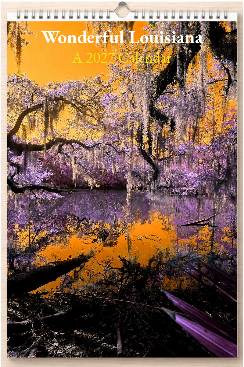 Wonderful Louisiana: A 2027 Calendar