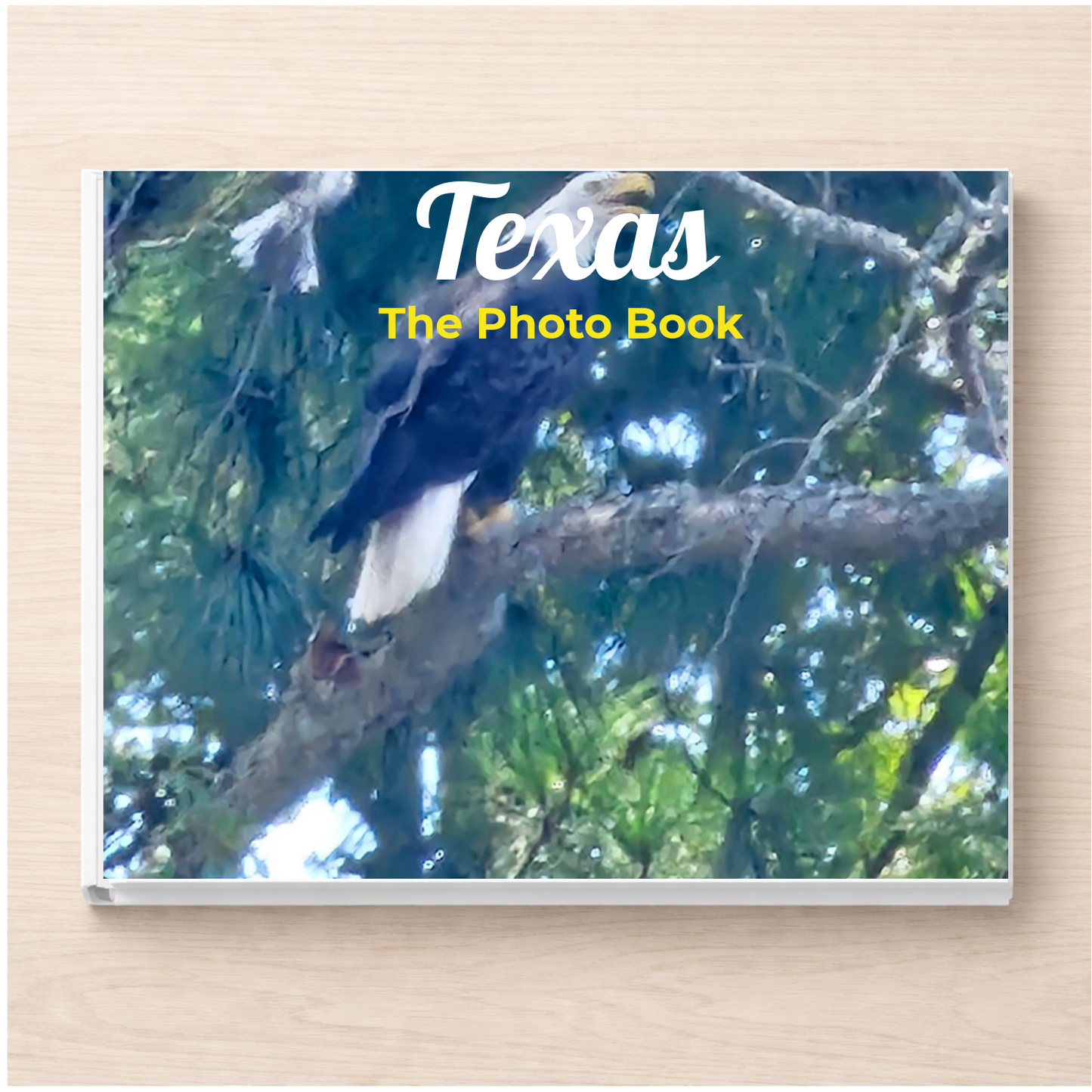 Texas: The Photo Book