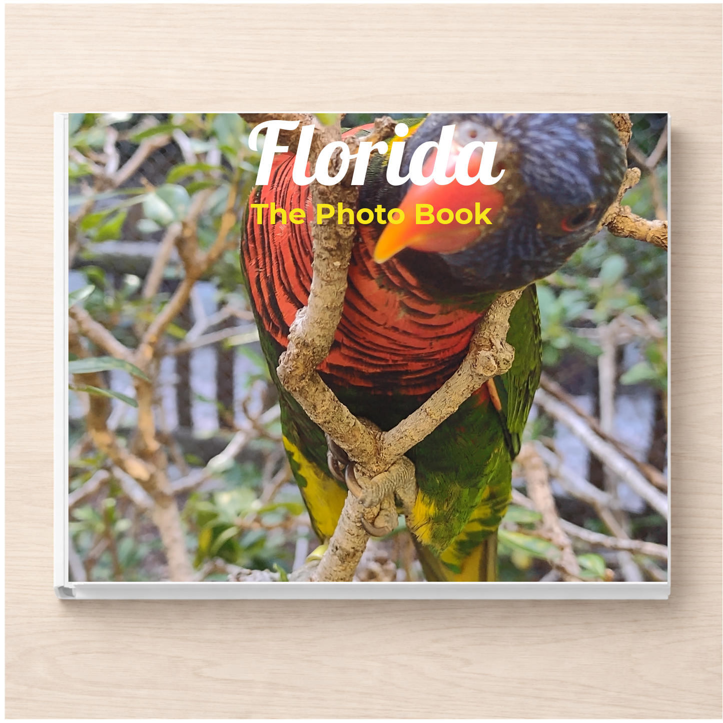 Florida: The Photo Book
