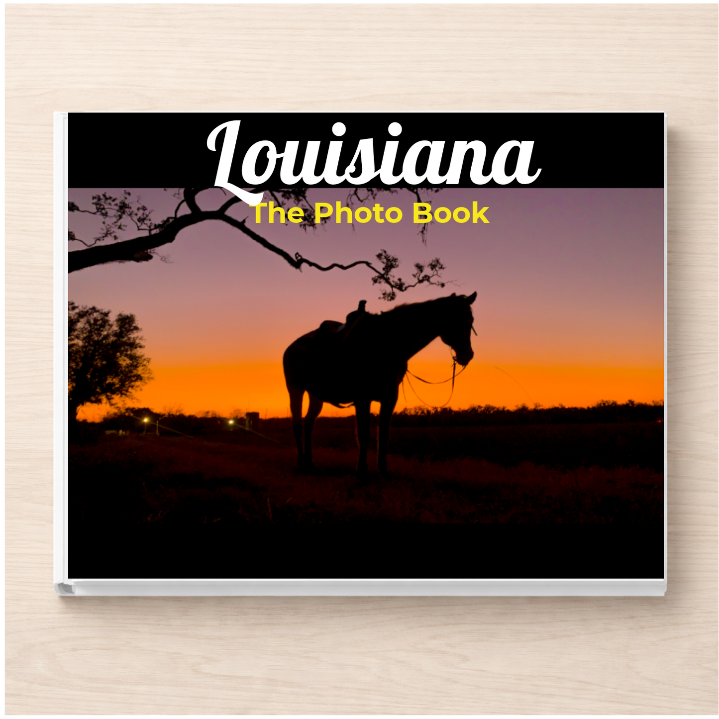 Louisiana: The Photo Book