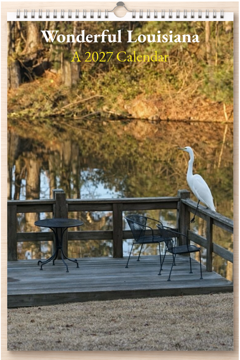 Wonderful Louisiana: A 2027 Calendar