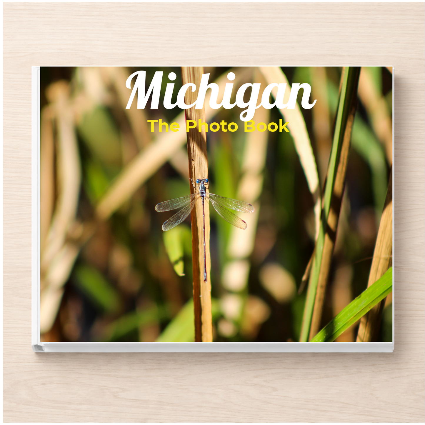 Michigan: The Photo Book