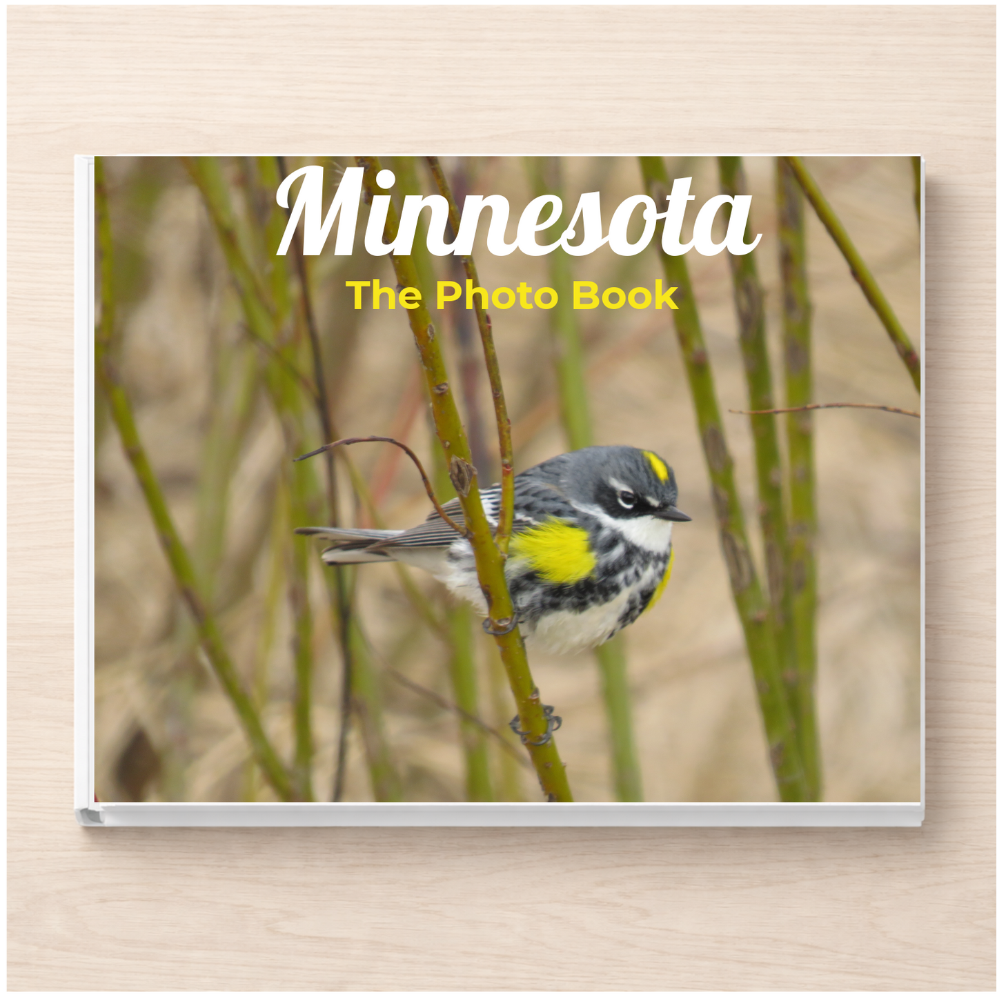 Minnesota: The Photo Book