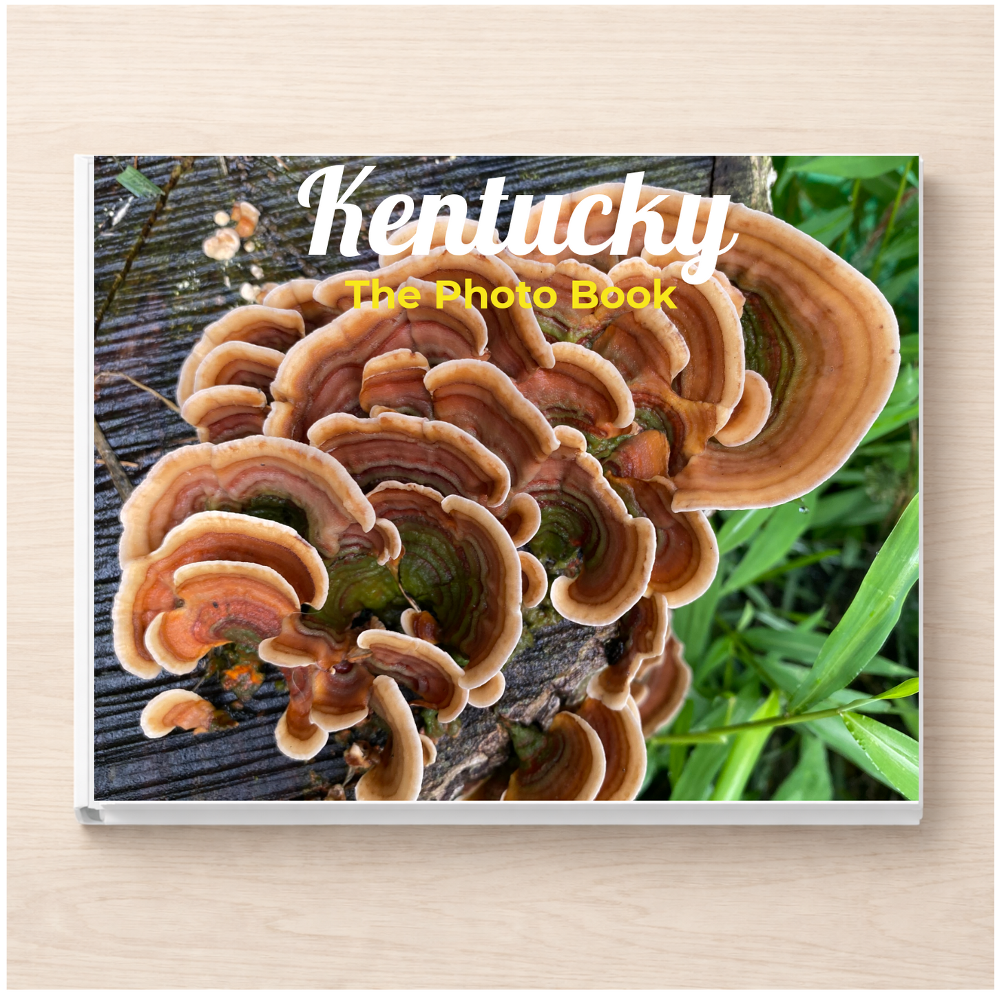 Kentucky: The Photo Book