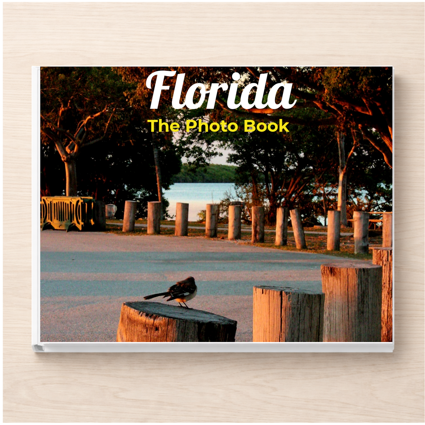 Florida: The Photo Book