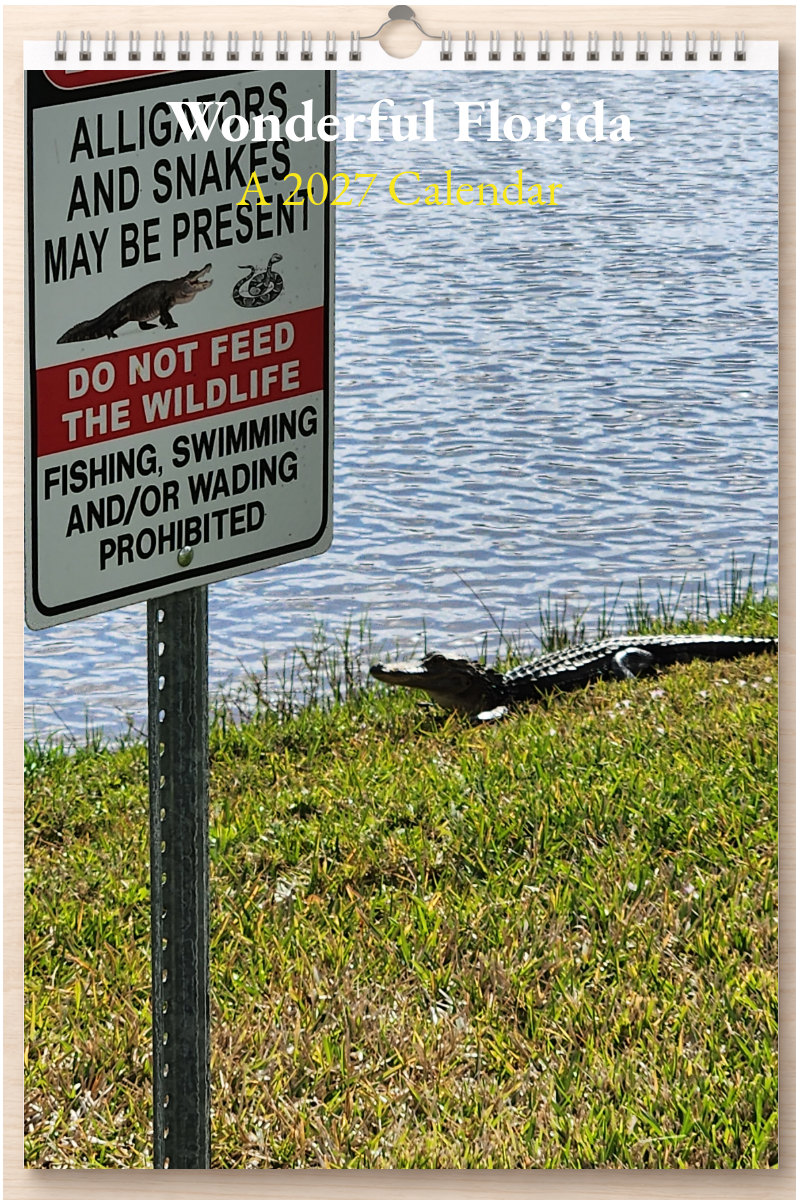 Wonderful Florida: A 2027 Calendar