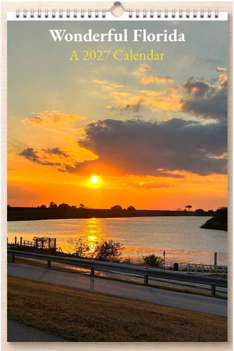 Wonderful Florida: A 2027 Calendar