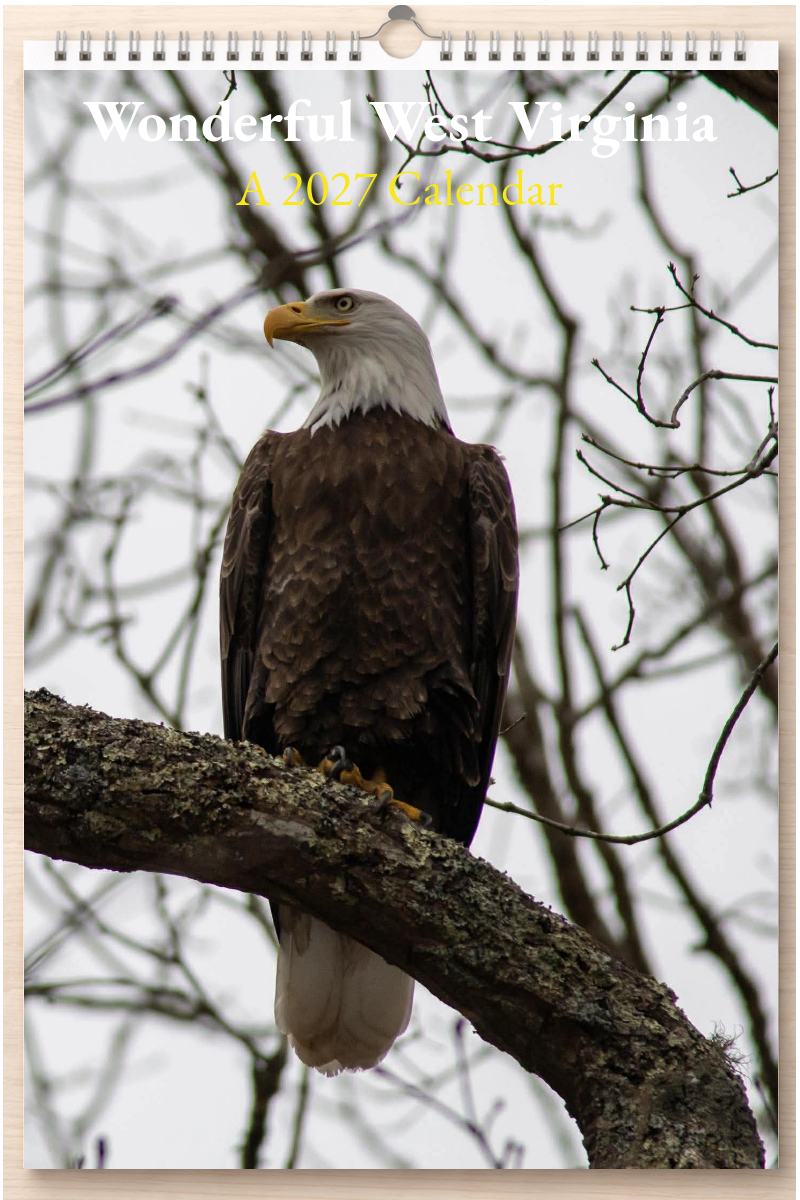 Wonderful West Virginia: A 2027 Calendar
