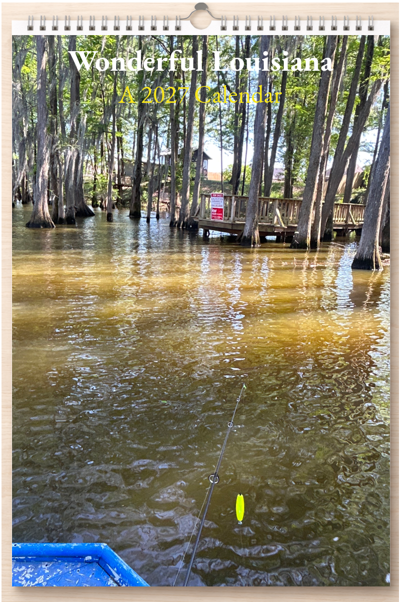 Wonderful Louisiana: A 2027 Calendar