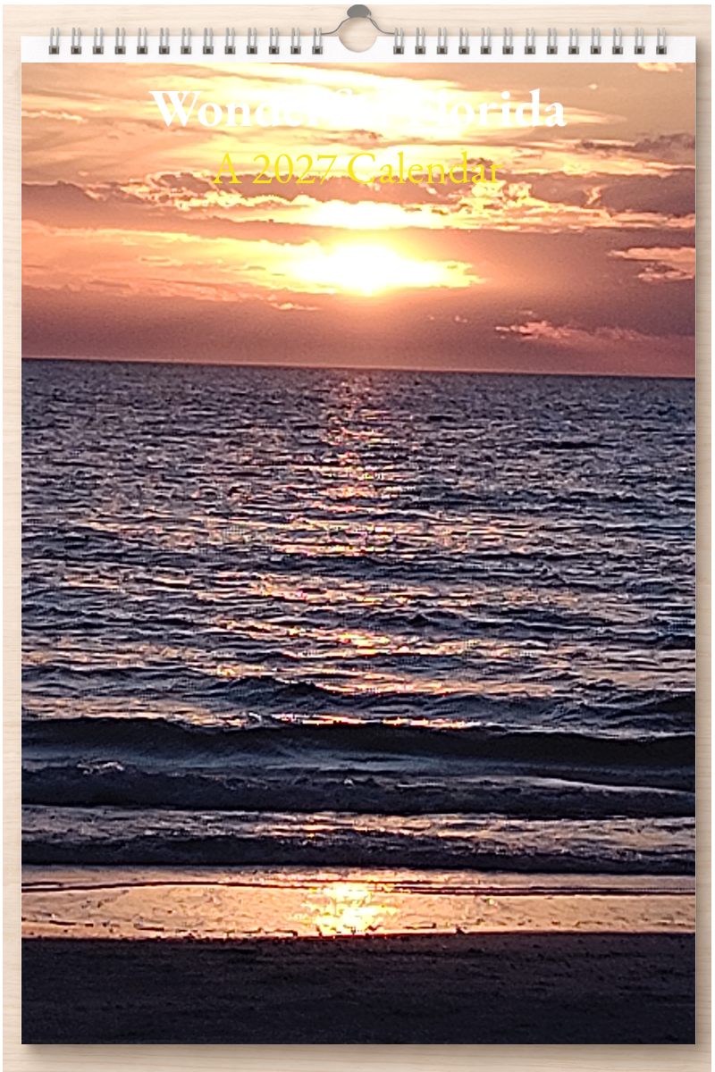 Wonderful Florida: A 2027 Calendar
