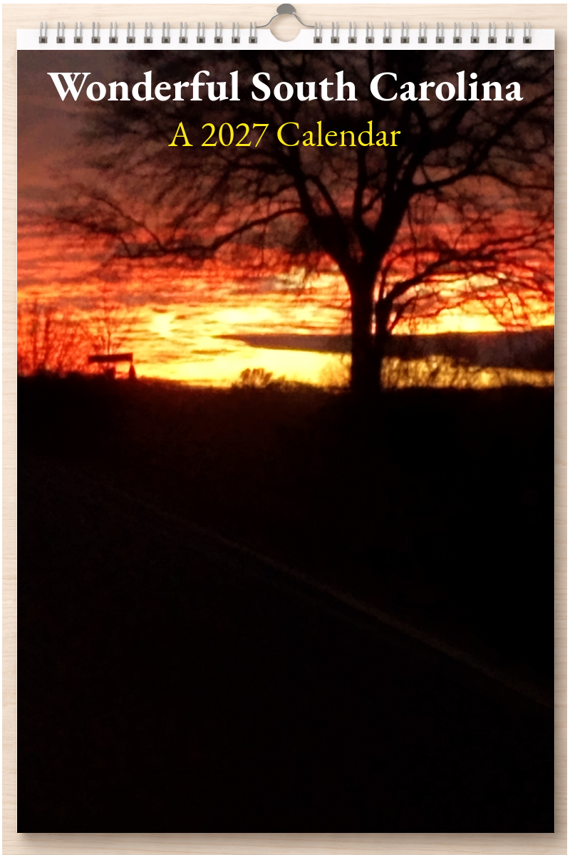 Wonderful South Carolina: A 2027 Calendar