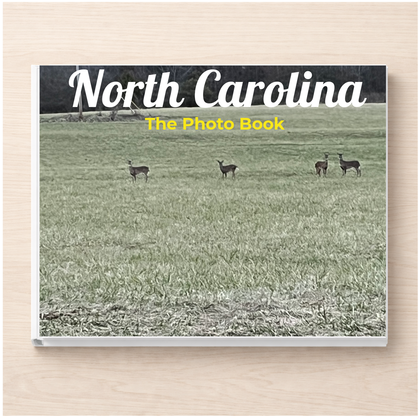 North Carolina: The Photo Book
